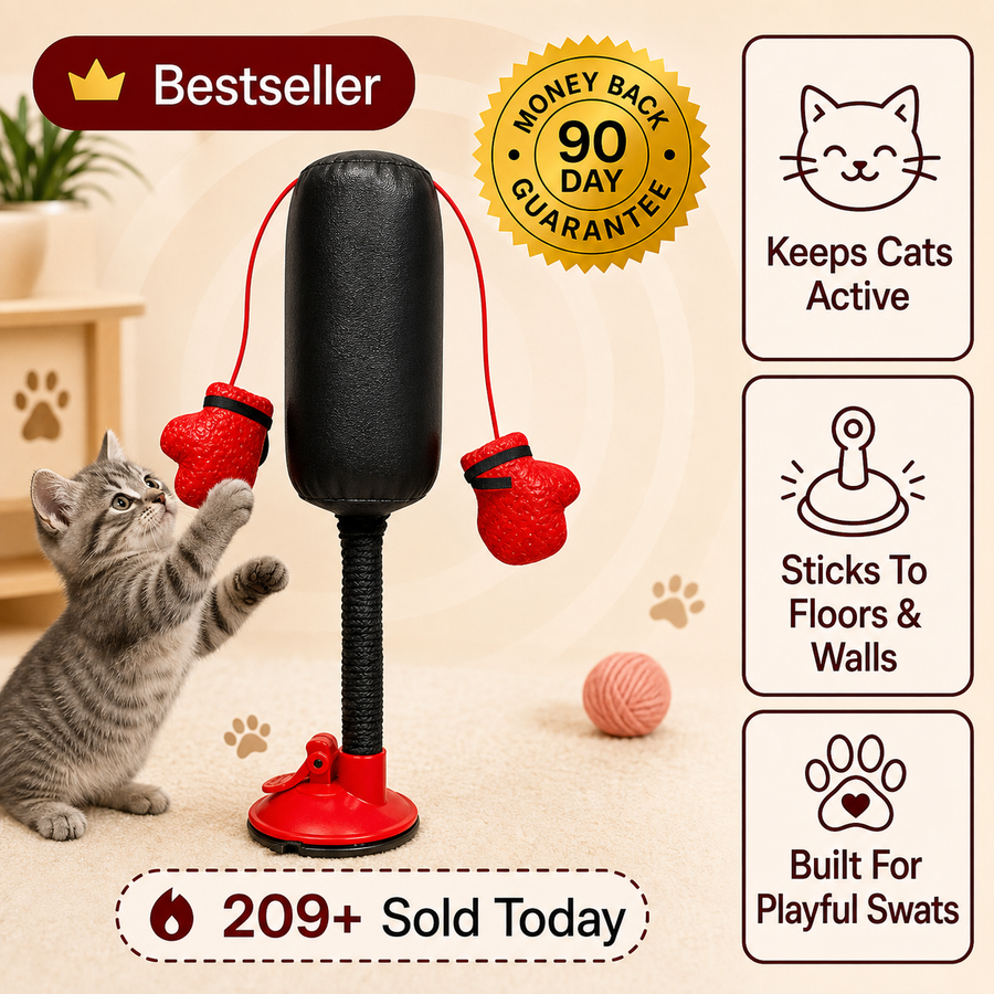 Mini Cat Punching Bag product size