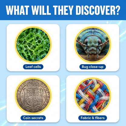 What will they discover — leaf cells, bug close-up, coin secrets, fabric fibers