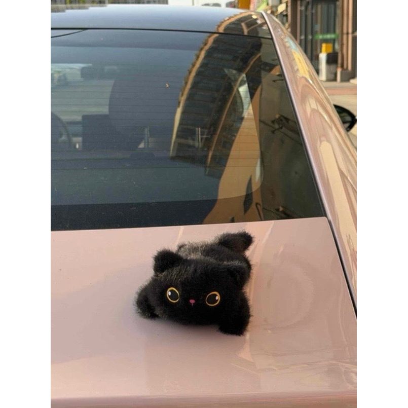 Customer photo of plush cat on a car
