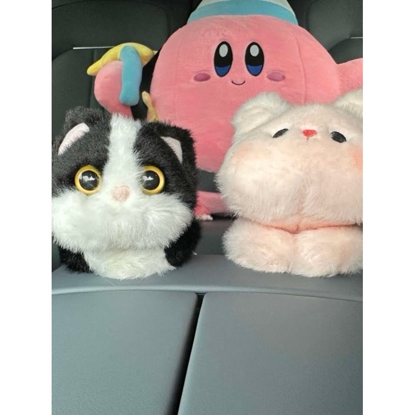 Customer photo of plush buddies on a dashboard